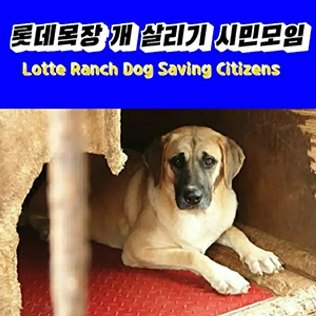 '계양산'롯데목장개살리기시민모임_봉사신청