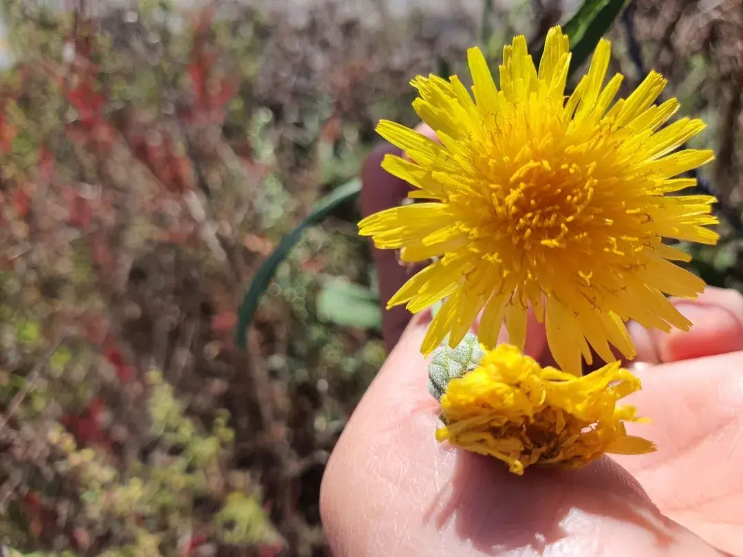 스마일강의 여행일기