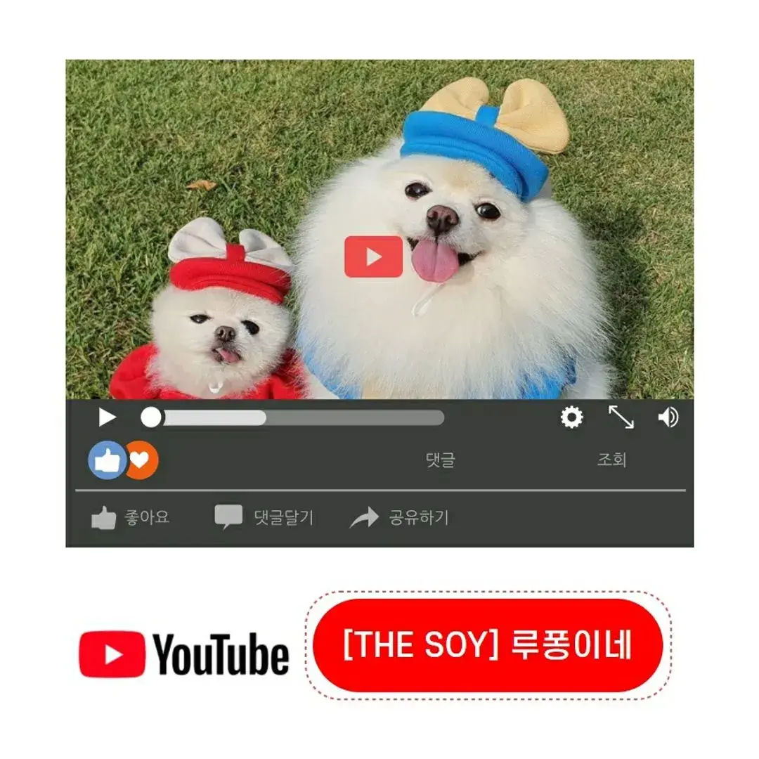 루퐁이네 유튜브 공식채널