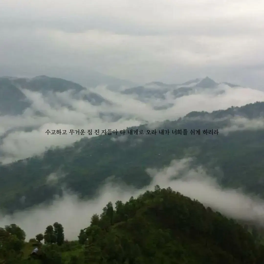 유튜브 - 하테바모세