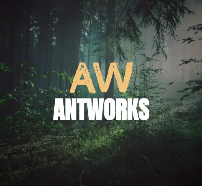 앤웍 유튜브🌿