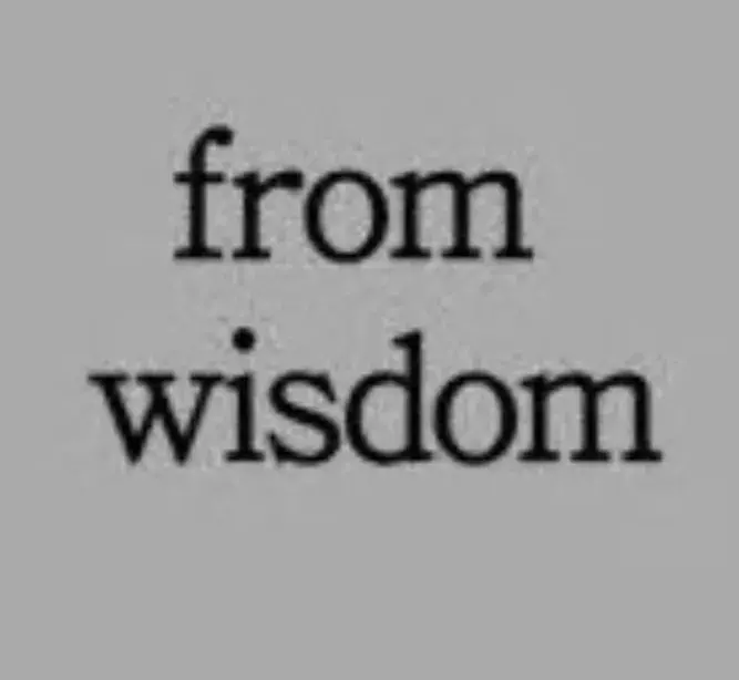 from wisdom 프롬위즈덤