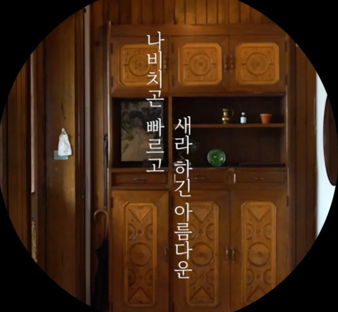 OFF.E(오프이) - 나비치곤 빠르고 새라 하긴 아름다운