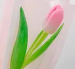 images/2021/5/17/2021-5-17-1621237660154.png