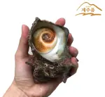 images/2021/8/22/2021-8-22-1629610505046.png
