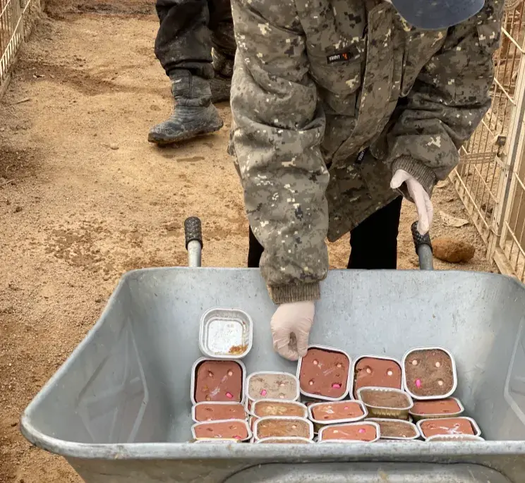 봉사 신청 / Sign up to volunteer!