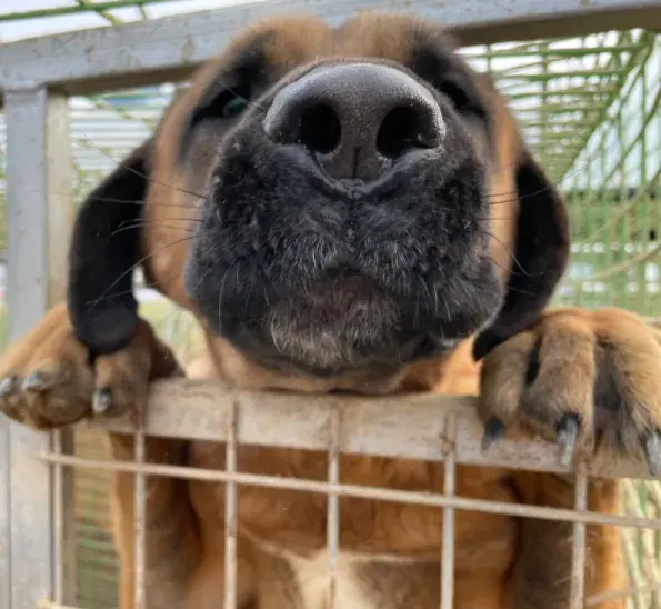 정기/일시 후원 (인천시민재단 - 후원단체 : 롯데목장개살리기시민모임)/Monthly Donation