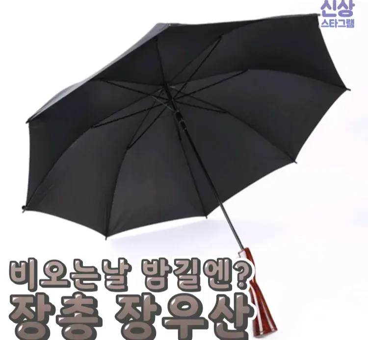 비오는날 패션템 장총장우산😉