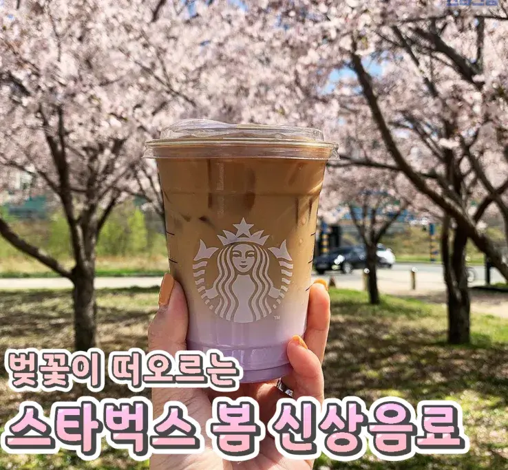 벚꽃이 떠오르는~ 스타벅스 봄 신상모음🌸