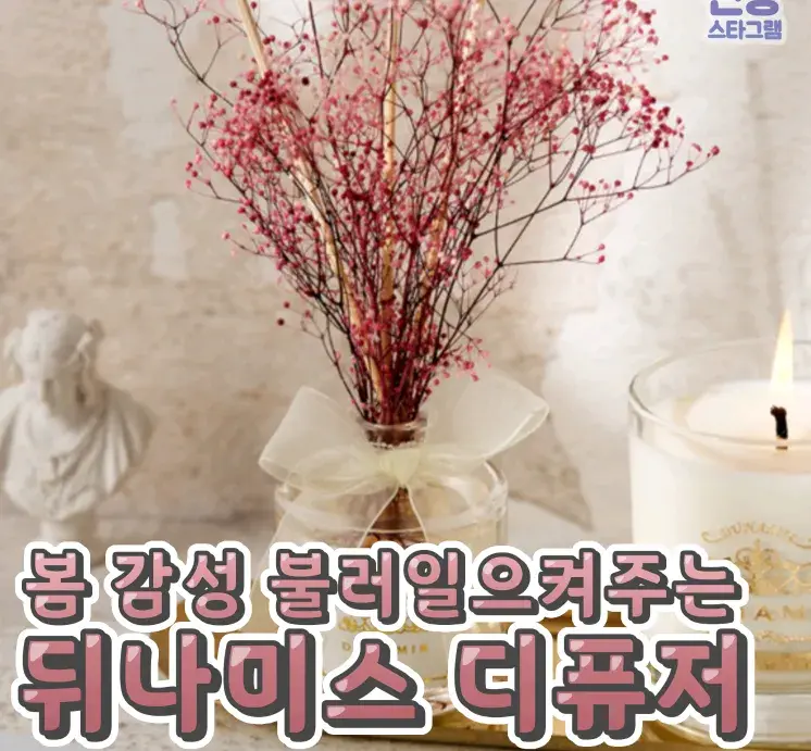 봄 감성 뿜뿜 뒤나미스 디퓨저🌸