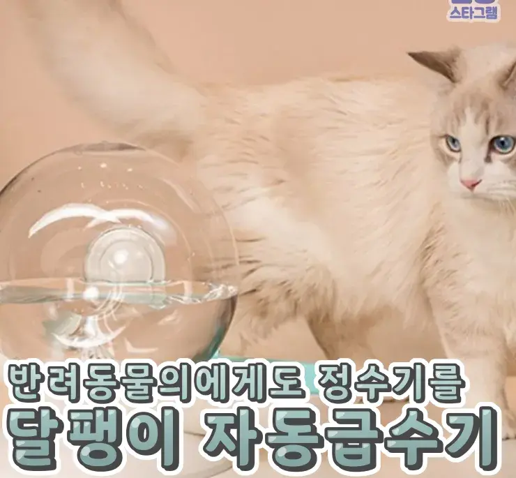 반려동물을 위한 달팽이 자동급수기🌸