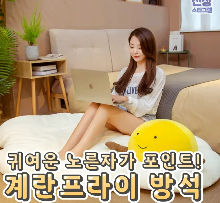 귀여운 노른자 계란 프라이 방석🌸