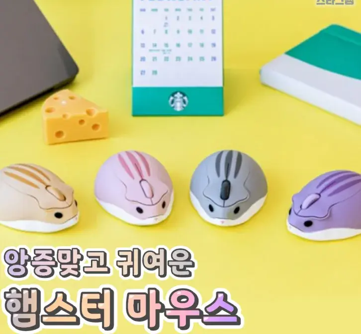 앙증맞고 귀여운 계란 햄스터 마우스🌸