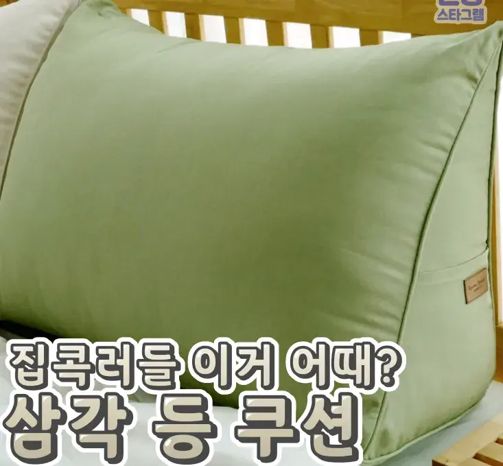 집콕러들 주목! 삼각등쿠션🌸