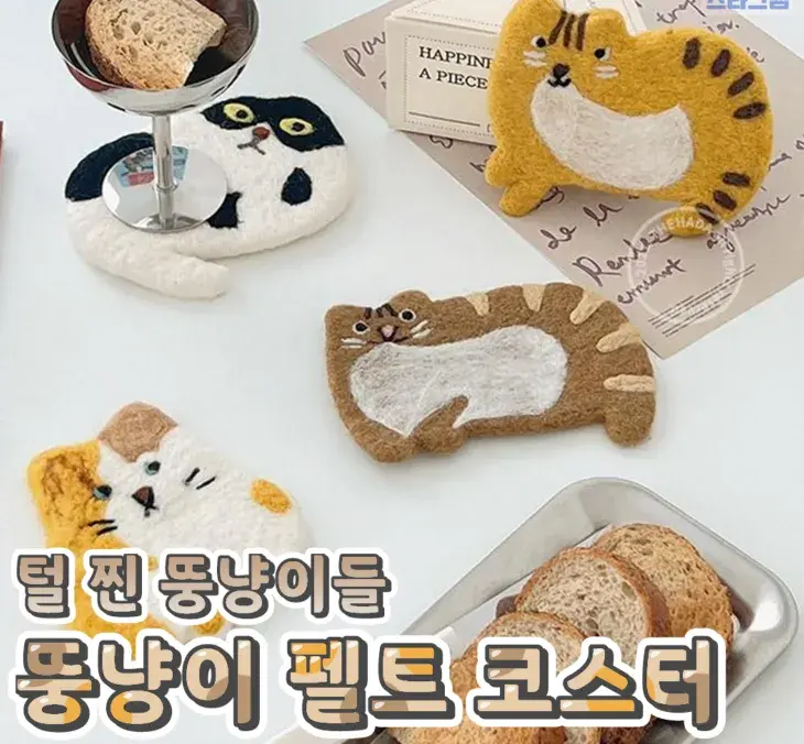 털이 엄청 찐 뚱냥이 펠트 코스터💙