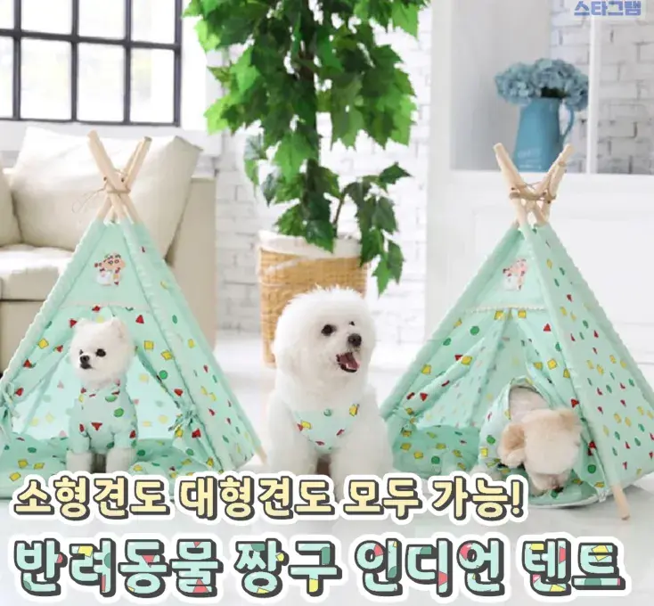 아기자기한 반려동물 짱구 인디언 텐트🌸