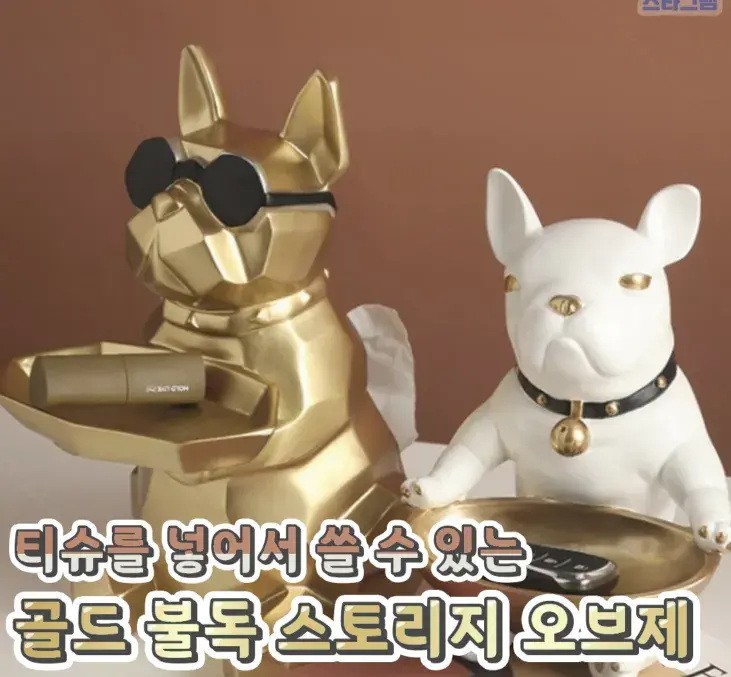 티슈 넣는 골드 불독 스토리지 오브제💙