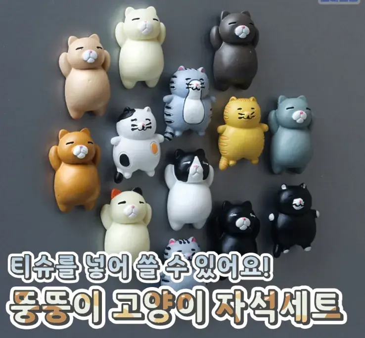 배가 귀엽구 뚱뚱한 고양이 자석💙