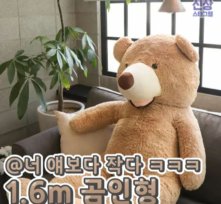 진~짜 큰 곰인형! 코스트코 곰인형! ✨