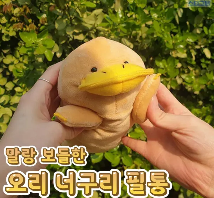 말랑 보들한 오리 너구리 필통😉