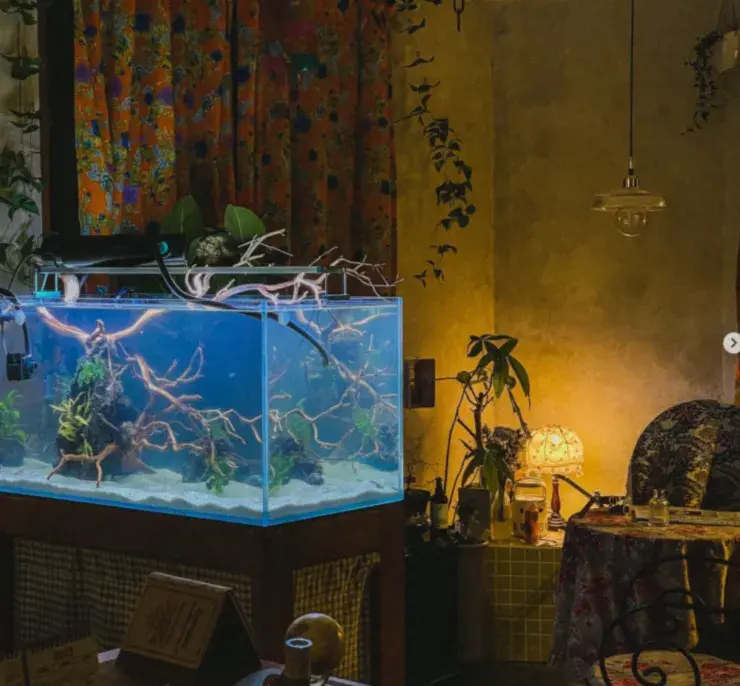 🙋‍♂️도시정전 상담하기