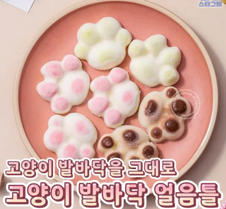 고양이 발바닥 얼음틀💙