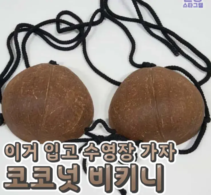 개 신박한 코코넛 비키니❤