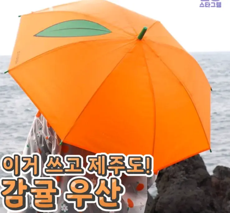 색깔 넘나 이쁜 감귤우산❤
