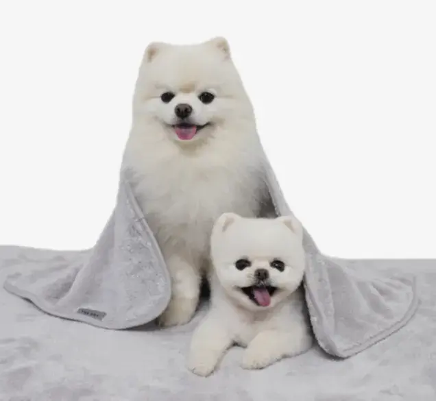 쓰담~쓰담 쓰담이타올 (new) 입고