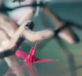 📸 [MV] 최유리 - 욕심의 반대편으로