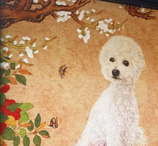 댕밀헌 인스타그램