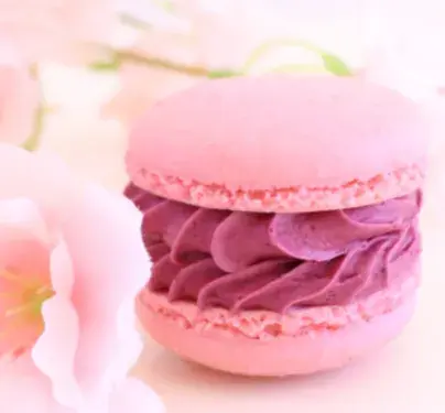 신데렐라롱 블로그