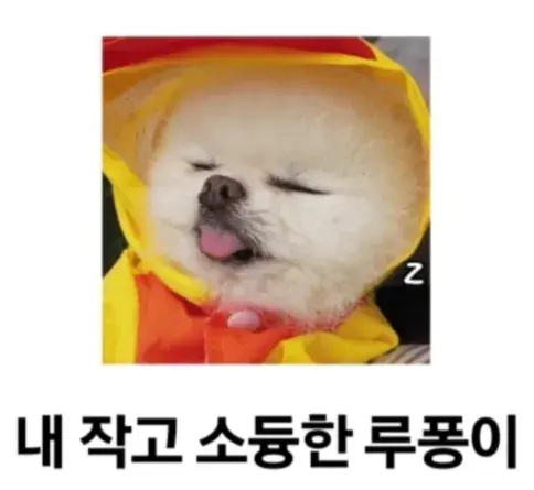 루퐁이 카톡이모티콘 1탄[내작고소듕한루퐁이]