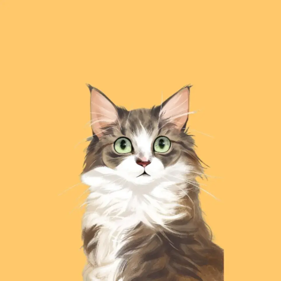 🐈‍⬛ 냥냥이