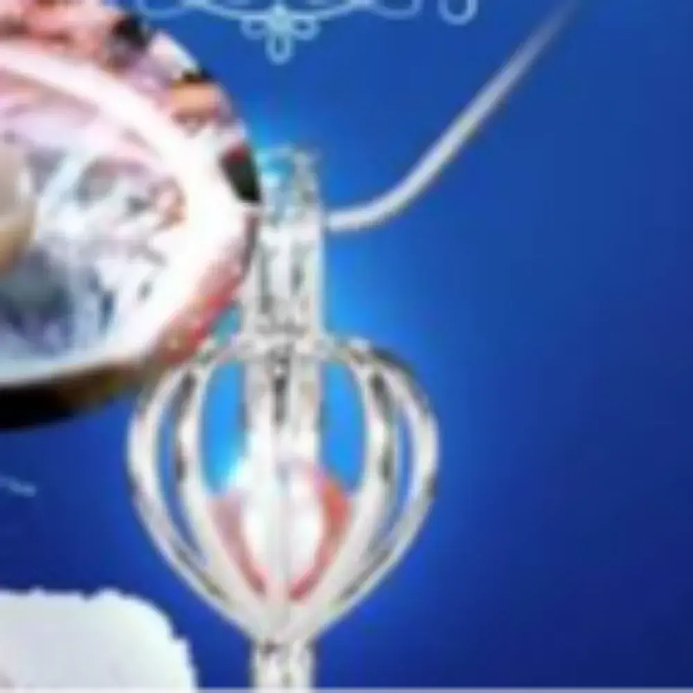 조개 속 진주 목걸이