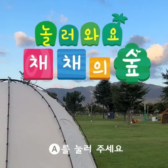 🎥 유튜브 놀러와요, 채채의 숲