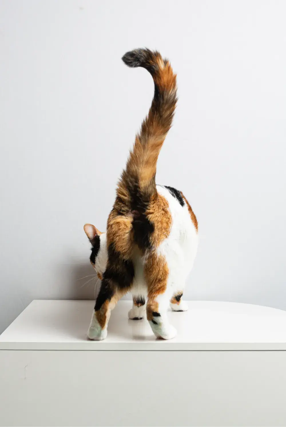 덕이❤️Talkative&Mischievous