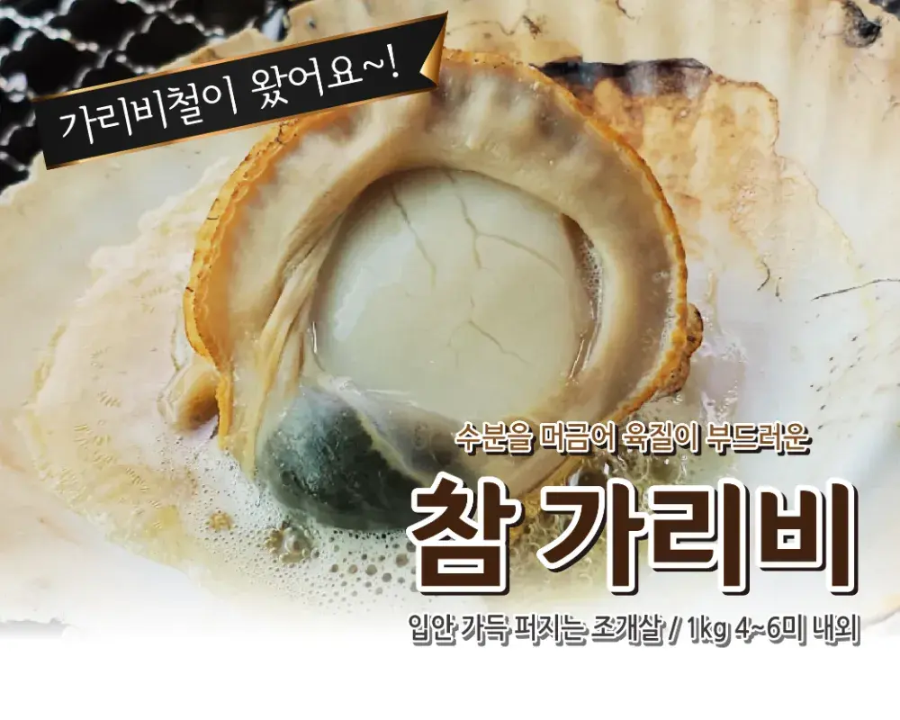 ✨️✨️특대사이즈 참가리비 1kg / 4~6미