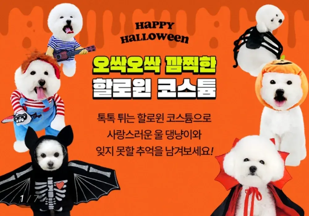 Happy halloween
