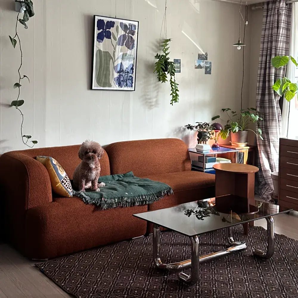 거실제품모음 :)