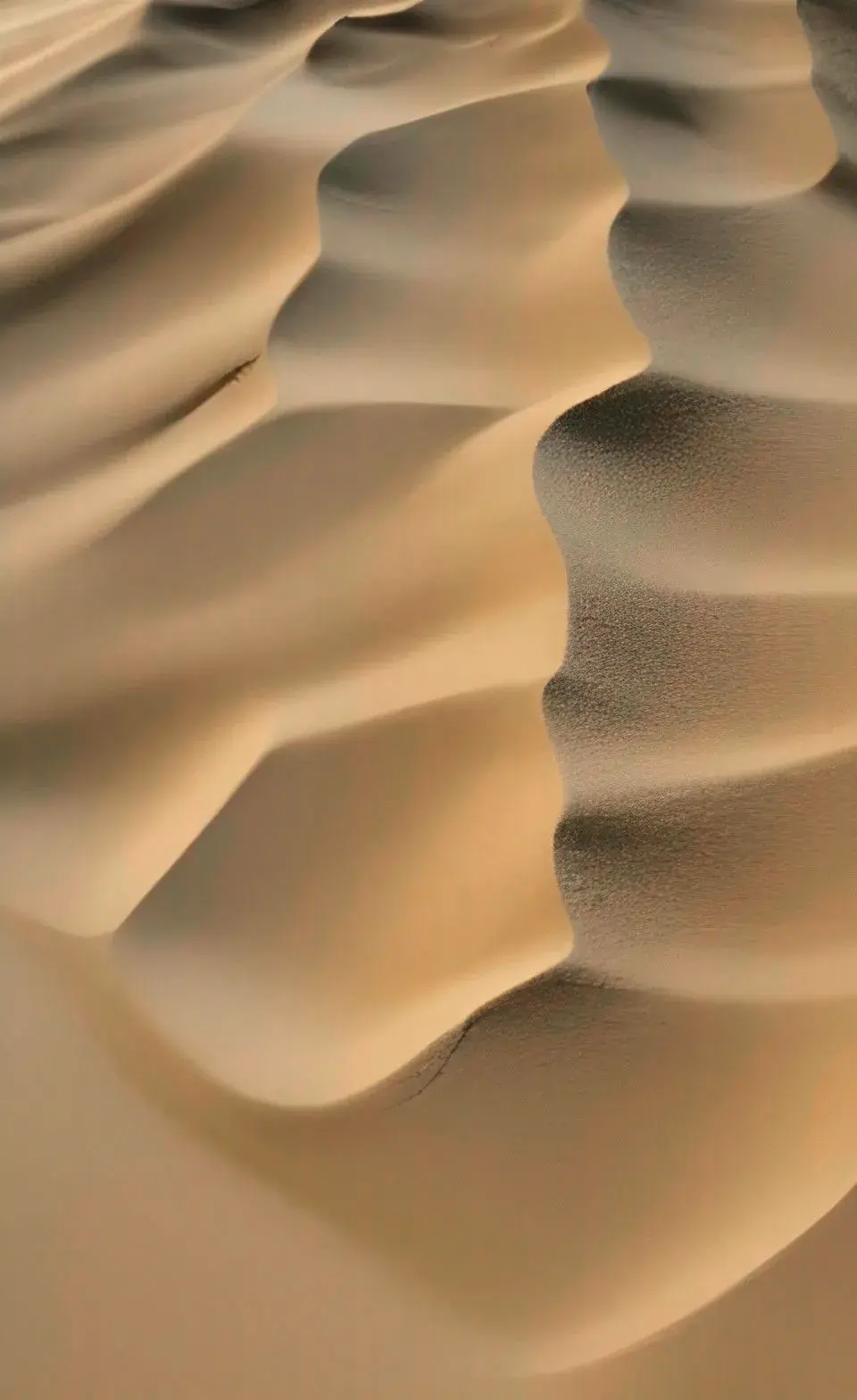 images/2023/12/31/2023-12-31-1704055774004.webp