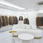 images/2023/12/5/2023-12-5-1701781550569.webp