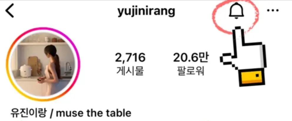 🤍 프로필 우측 상단 종모양 눌러 설정하세요 🤍