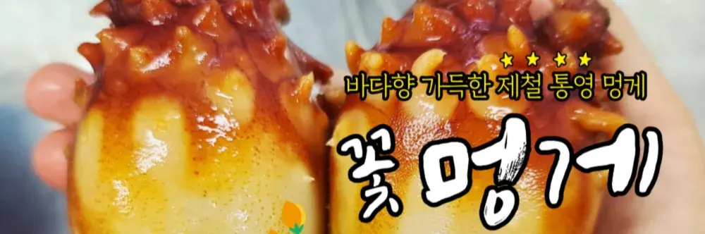 꽃멍게 향긋한 활멍게 제철 붉은 멍게