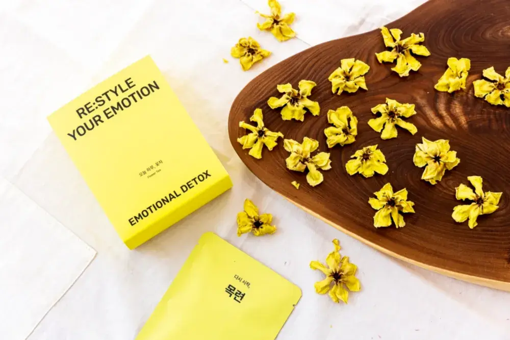 드바로티 목련꽃차