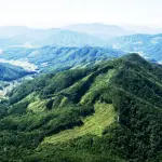 images/2023/3/31/2023-3-31-1680272998927.webp