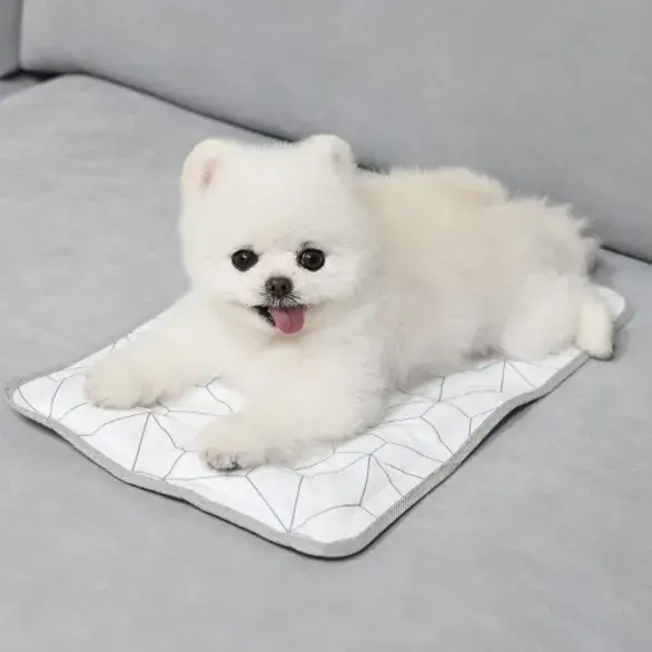 쿨잠이 쿨매트 CooooL~