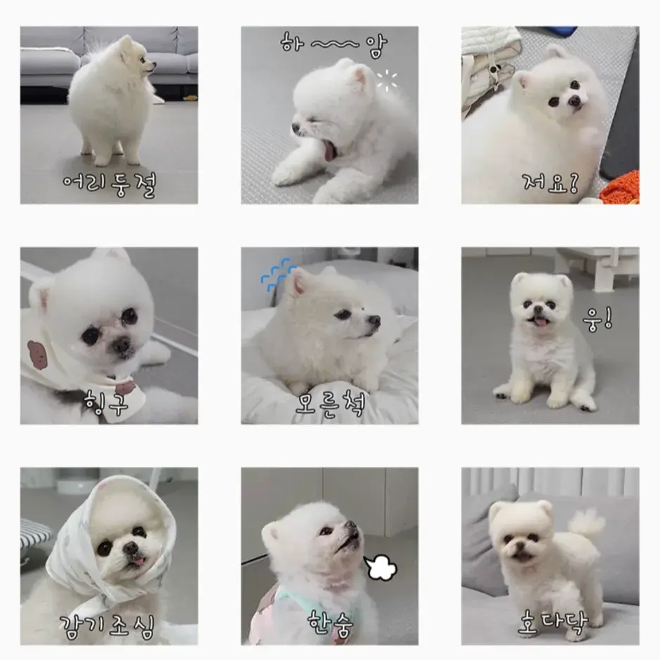 루퐁이 카톡이모티콘 3탄[내작고사랑스런루퐁이]