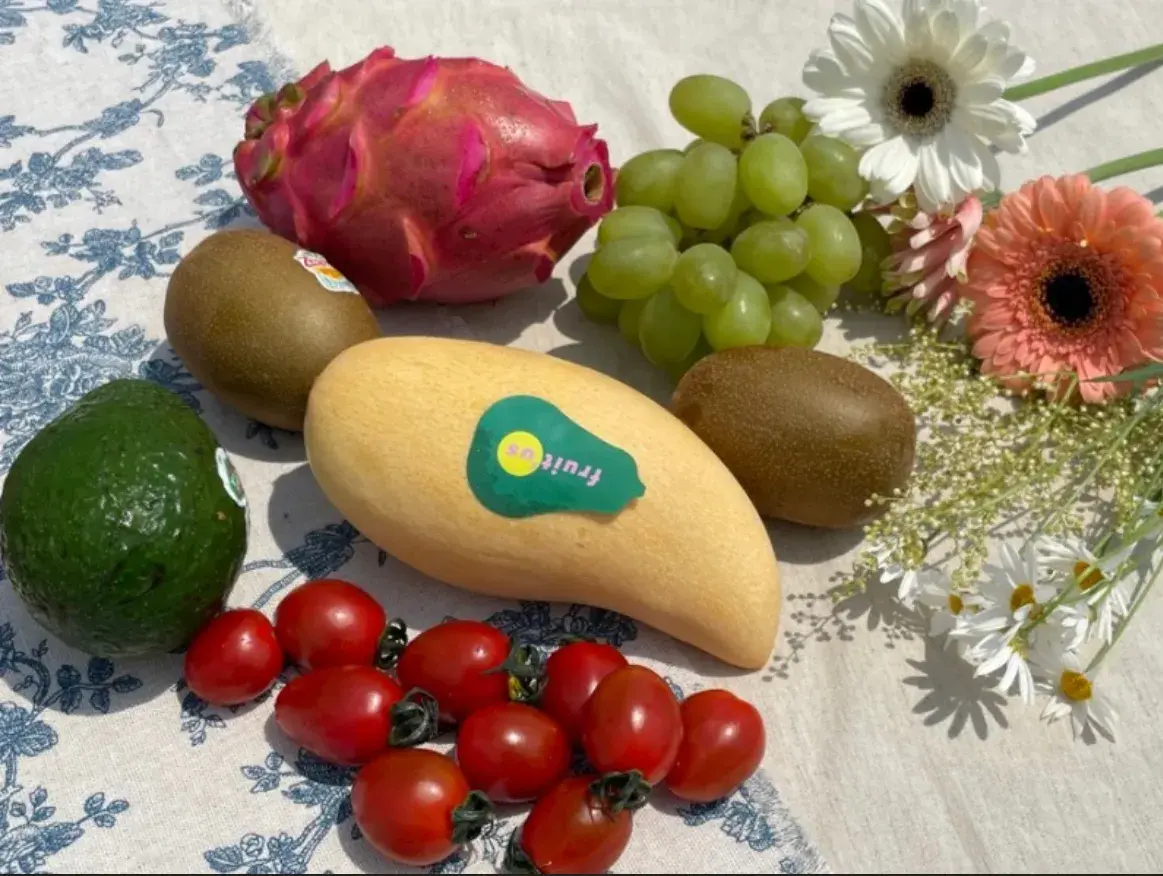 Fruitus fruitus | 인포크링크
