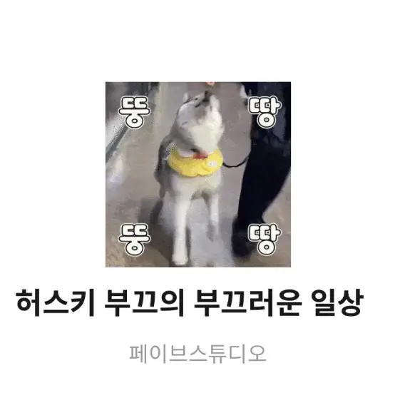허스키 부끄의 카톡 이모티콘